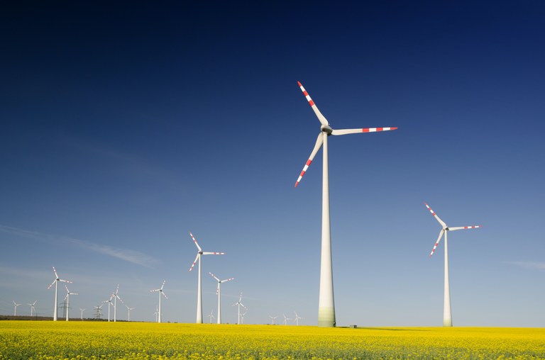 Windmills field.jpg